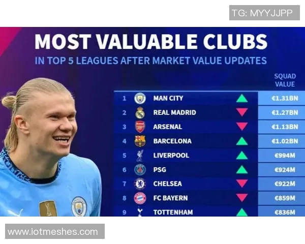 今年五大联赛球队身价跌幅分析药厂领衔曼联米兰紧随其后