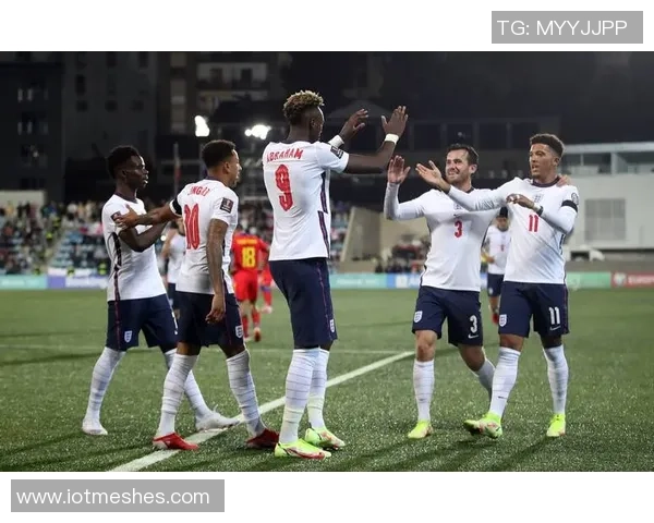 欧洲世预赛最佳球员候选名单揭晓帕洛特内维斯多库威尔逊争夺荣誉